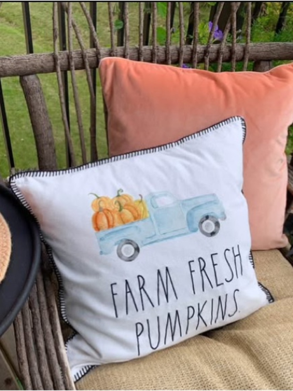 2 Fall Feather/Down Pillows
-Rae Dunn🎃Pumpkin
-Pier 1 Velvet Orange